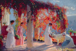 Pergola v Marquayrol